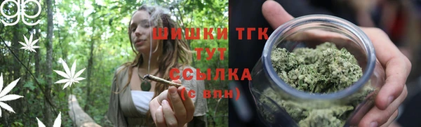 PSILOCYBIN Вяземский